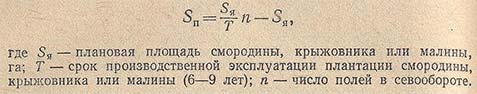 Площадь под промежуточные культуры ягодооборотов смородины, крыжовника и малины