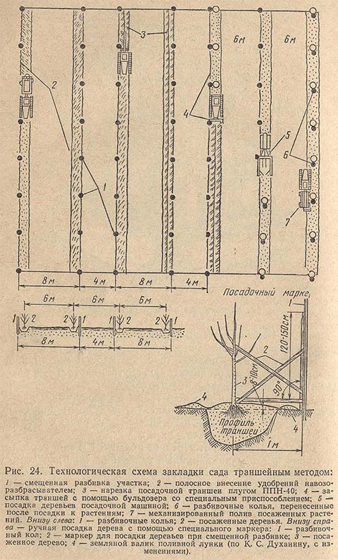 Технологическая схема закладки сада траншейным методом
