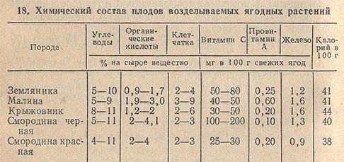 Ягоды кислотность. Химический состав плодов. Химический состав плодов и ягод. Химический состав и пищевая ценность ягод. Хим состав овощей и плодов.