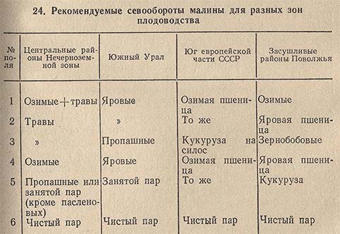 Рекомендуемые севообороты малины для разных зон плодоводства