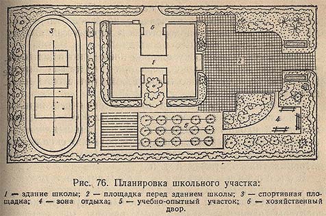 Планировка школьного участка