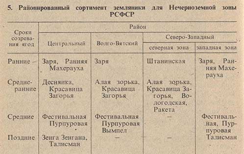 Районированные сорта земляники для Нечерноземной зоны РСФСР