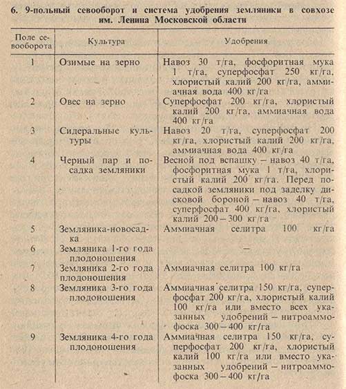 9-польный севооборот и система удобрения земляники в совхозе им. Ленина Московской области