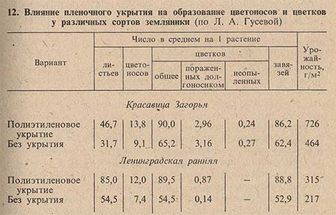 Влияние пленочного укрытия на образование цветоносов и цветков у различных сортов земляники