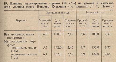 Влияние мульчирования торфом на урожай и качество ягод малины сорта Новость Кузьмина