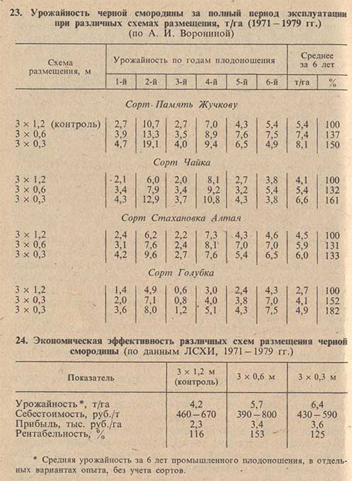 Урожайность черной смородины за полный период эксплуатации при различных схемах размещения