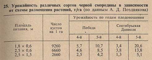 Урожайность черной смородины