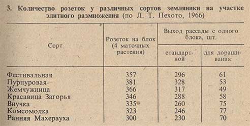 Количество розеток у различных сортов земляники на участке элитного размножения