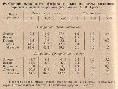 Средний вынос азота, фосфора и калия из почвы растениями красной и черной смородины