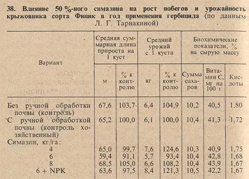 Влияние 50% симазина на рост побегов и урожайность крыжовника сорта Финик в год применения гербицида