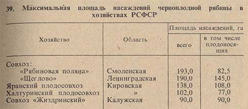 Максимальная площадь насаждений черноплодной рябины в хозяйствах РСФСР