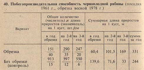 Побегопроизводительная способность черноплодной рябины