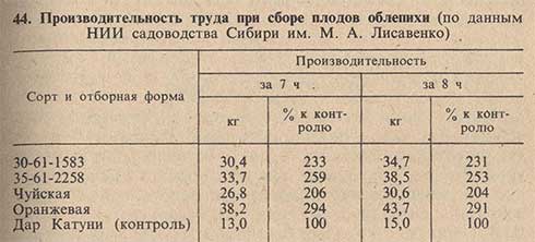 Производительность труда при сборе плодов облепихи