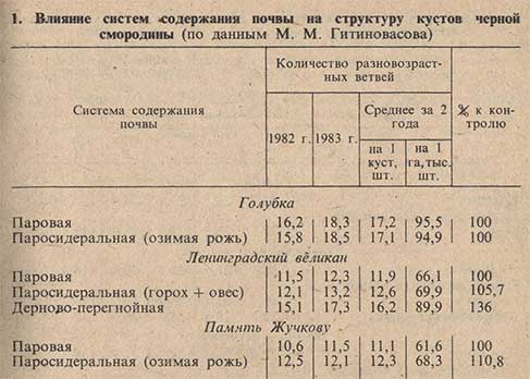 Влияние систем содержания почвы на структуру кустов черной смородины