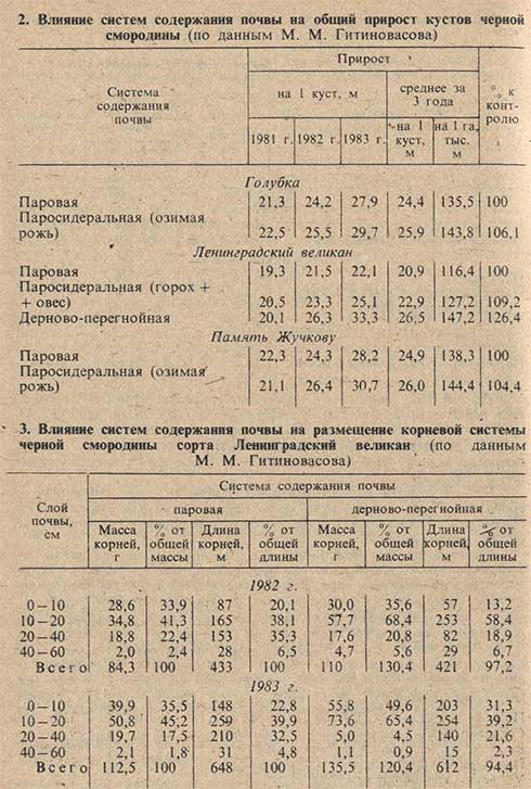 Влияние систем содержания почвы на общий прирост кустов и размещение корневой системы черной смородины