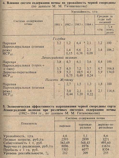 Влияние систем содержания почвы на урожайность черной смородины и экономическая эффективность при различных системах содержания почвы