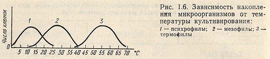 Зависимость накопления микроорганизмов от температуры культивирования