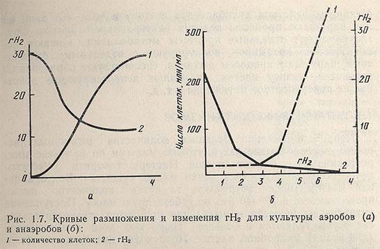 Кривые размножения и изменения rH2 для культуры аэробов и анаэробов