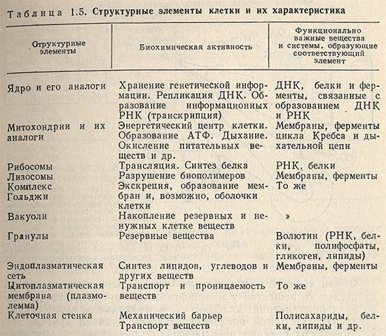 Структурные элементы клетки и их характеристика