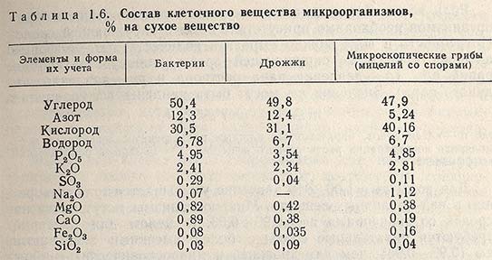 Состав клеточного вещества микроорганизмов