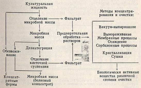 Схема получения продуктов микробиологического синтеза