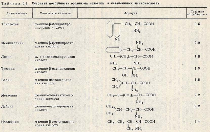 Суточная потребность организма человека в незаменимых аминокислотах