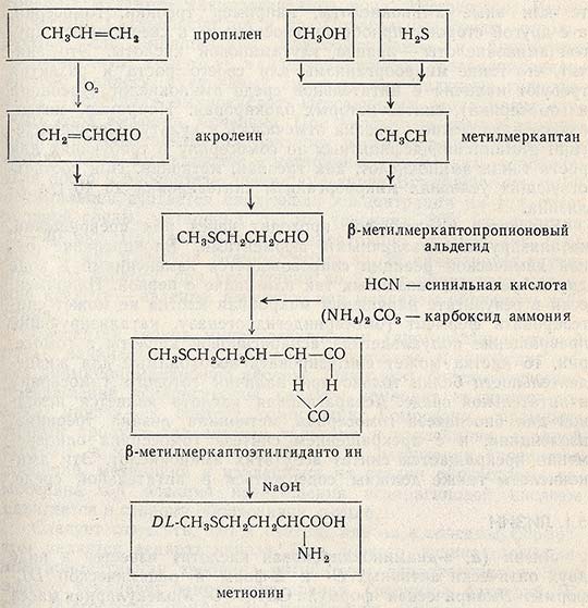 Органический синтез метионина