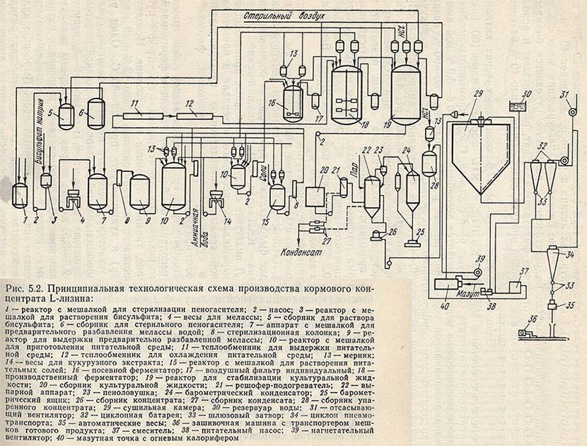 Принципиальная технологическая схема производства кормового концентрата L-лизина