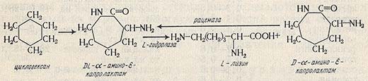 Схема получения L-лизина