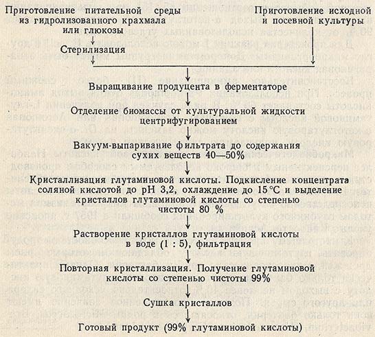 Схема получения глутаминовой кислоты