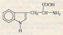 Триптофан (а-амино-р-индолилпропионовая кислота)