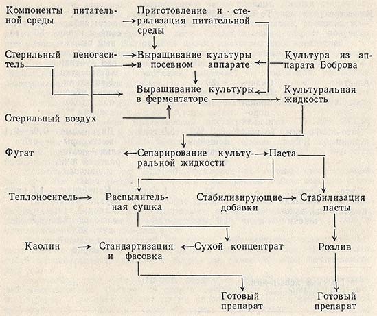 Схема производства энтобактерина