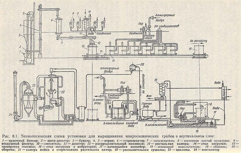 Технологическая схема установки для выращивания микроскопических грибов в вертикальном слое