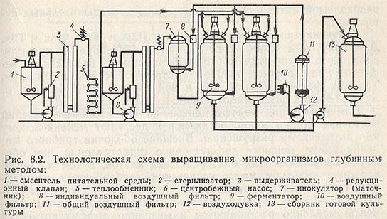 Технологическая схема выращивания микроорганизмов глубинным методом