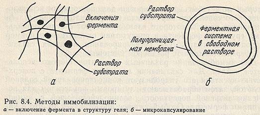 Методы иммобилизации