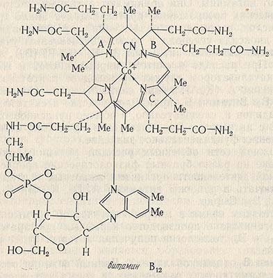 Витамин B12