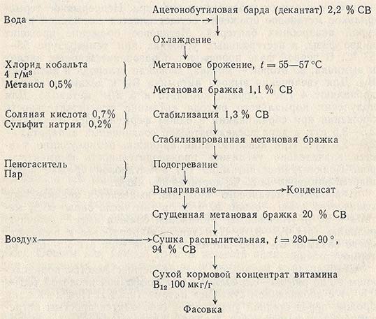 Технологическая схема получения витамина B12