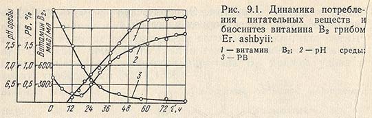 Динамика потребления питательных веществ и биосинтез витамина B2 грибом Er. ashbyii