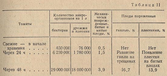 Влияние продолжительности хранения на обсемененность плодов томатов