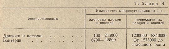 Количество микроорганизмов на поверхности плодов и овощей в зависимости от их качества