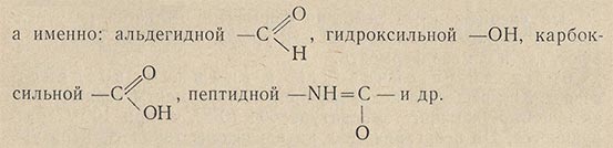 Каталитическое действие фермента