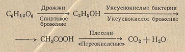 Цепь микробиологических превращений глюкозы