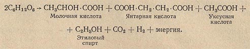 Схематическое уравнение