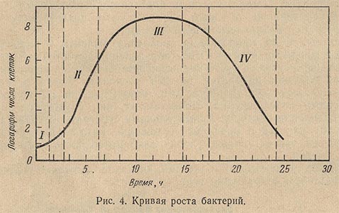 Кривая роста бактерий