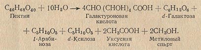 Уравнение гидролитического расщепления пектиновых веществ