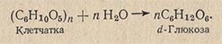 Осахаривание клетчатки, гидролиз до глюкозы