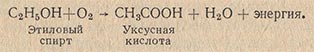 Окисление этилового спирта уксуснокислыми бактериями