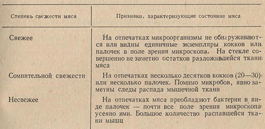 Сомнительная свежесть. Степени свежести мяса. Признаки свежести мяса. Показатели свежести мяса. Признаки свежего мяса.