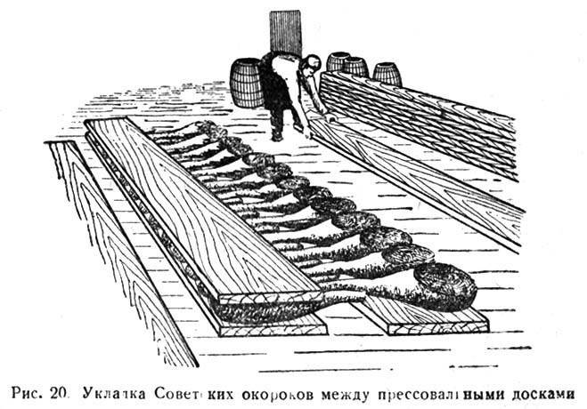 Укладка Советских окороков между прессовальными досками
