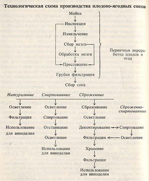 Технологическая схема производства плодово-ягодных соков